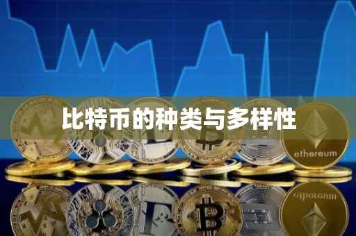 比特币的种类与多样性