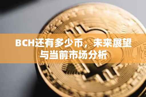 BCH还有多少币，未来展望与当前市场分析