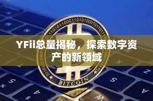 YFii总量揭秘，探索数字资产的新领域