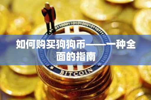 如何购买狗狗币——一种全面的指南