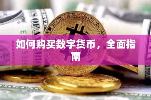 如何购买数字货币，全面指南