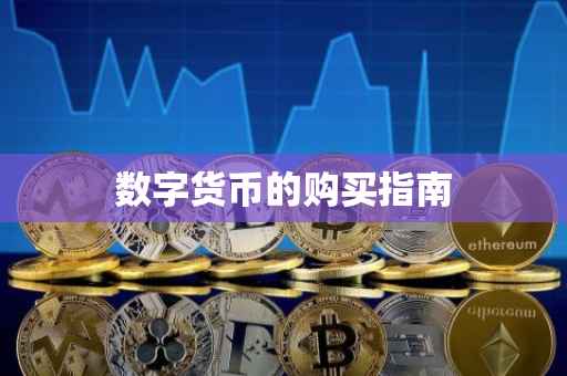 数字货币的购买指南