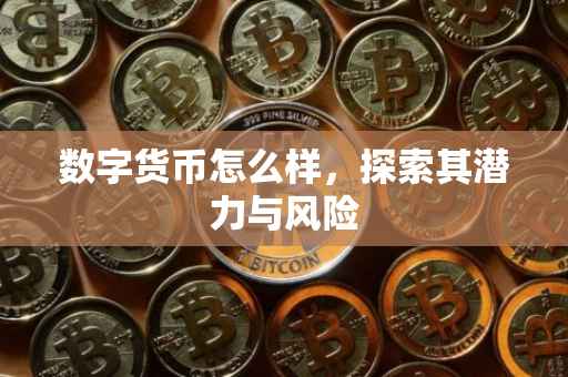 数字货币怎么样，探索其潜力与风险