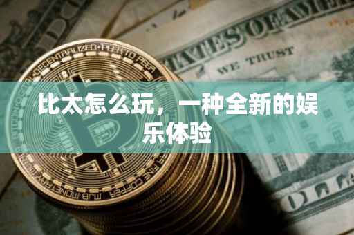 比太怎么玩，一种全新的娱乐体验