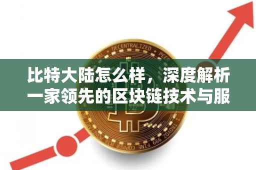 比特大陆怎么样，深度解析一家领先的区块链技术与服务提供商