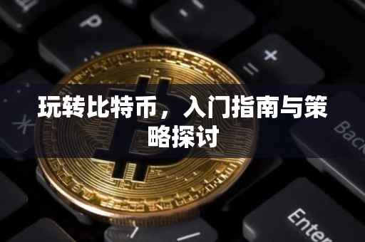 玩转比特币，入门指南与策略探讨