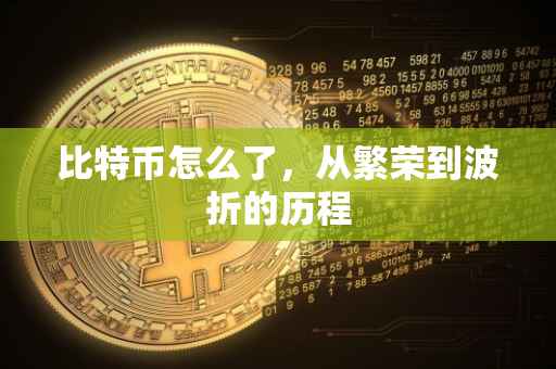 比特币怎么了，从繁荣到波折的历程