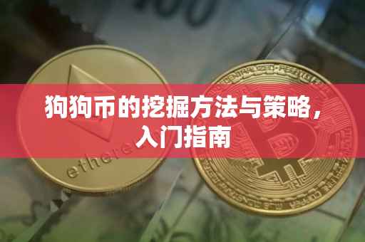 狗狗币的挖掘方法与策略，入门指南
