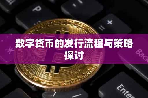 数字货币的发行流程与策略探讨
