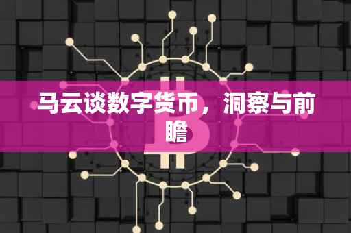 马云谈数字货币，洞察与前瞻