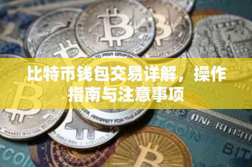 比特币钱包交易详解，操作指南与注意事项