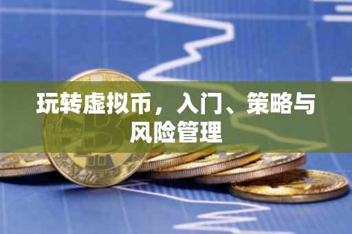玩转虚拟币，入门、策略与风险管理