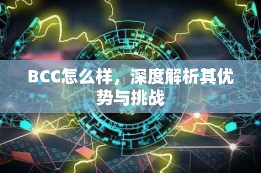 BCC怎么样，深度解析其优势与挑战