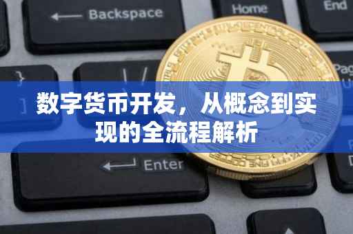 数字货币开发，从概念到实现的全流程解析