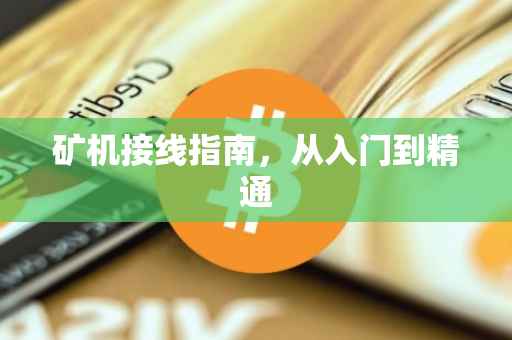 矿机接线指南，从入门到精通