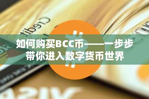 如何购买BCC币——一步步带你进入数字货币世界
