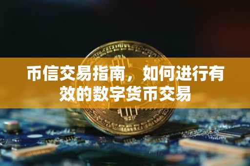 币信交易指南，如何进行有效的数字货币交易
