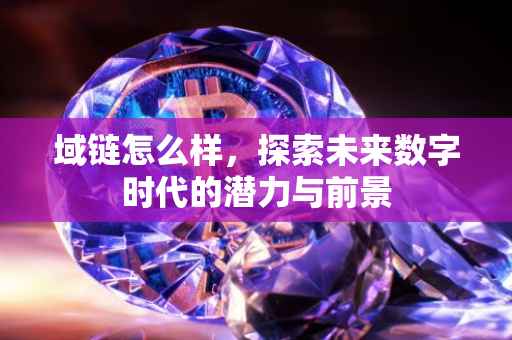 域链怎么样，探索未来数字时代的潜力与前景