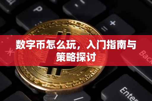 数字币怎么玩，入门指南与策略探讨