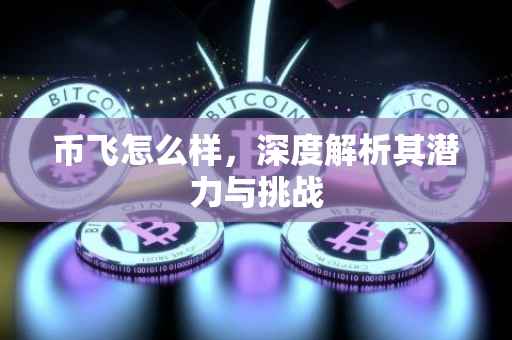 币飞怎么样，深度解析其潜力与挑战