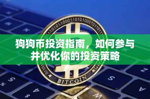 狗狗币投资指南，如何参与并优化你的投资策略