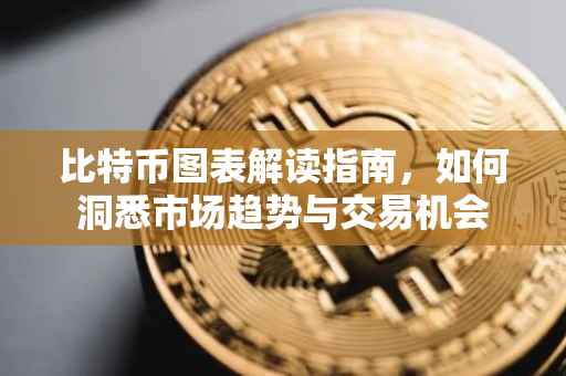 比特币图表解读指南，如何洞悉市场趋势与交易机会