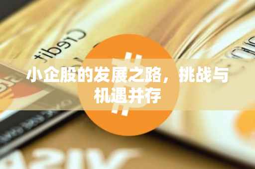 小企股的发展之路，挑战与机遇并存