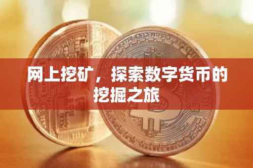 网上挖矿，探索数字货币的挖掘之旅