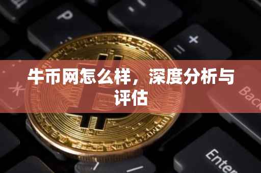 牛币网怎么样，深度分析与评估