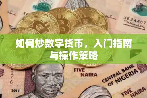 如何炒数字货币，入门指南与操作策略