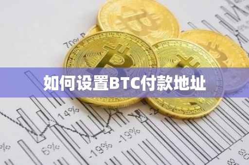 如何设置BTC付款地址