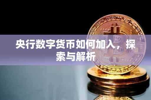 央行数字货币如何加入，探索与解析