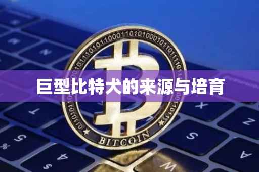 巨型比特犬的来源与培育