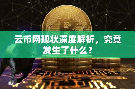 云币网现状深度解析，究竟发生了什么？