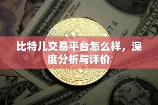 比特儿交易平台怎么样，深度分析与评价