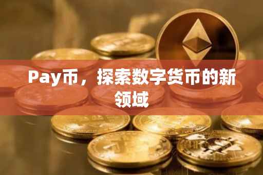 Pay币，探索数字货币的新领域