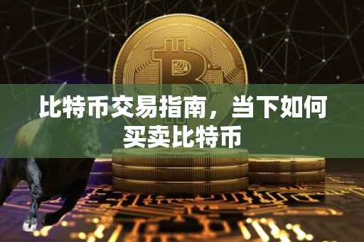 比特币交易指南，当下如何买卖比特币