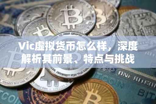 Vic虚拟货币怎么样，深度解析其前景、特点与挑战