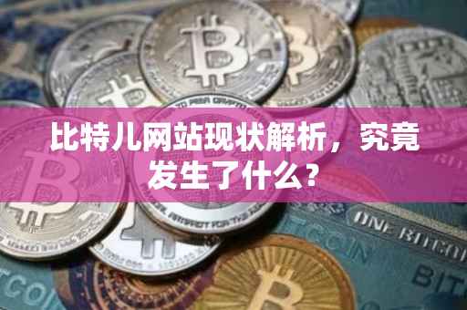 比特儿网站现状解析，究竟发生了什么？