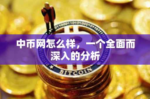 中币网怎么样，一个全面而深入的分析