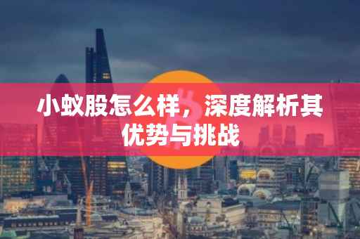 小蚁股怎么样，深度解析其优势与挑战