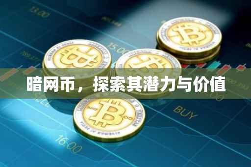 暗网币，探索其潜力与价值