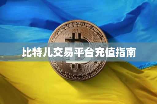 比特儿交易平台充值指南