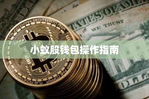 小蚁股钱包操作指南