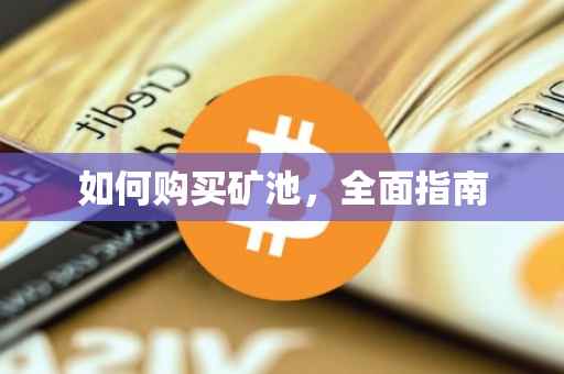 如何购买矿池，全面指南