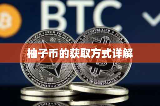 柚子币的获取方式详解