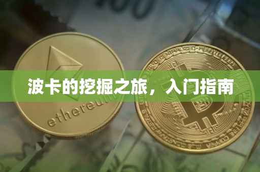 波卡的挖掘之旅，入门指南
