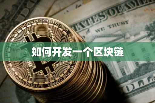如何开发一个区块链