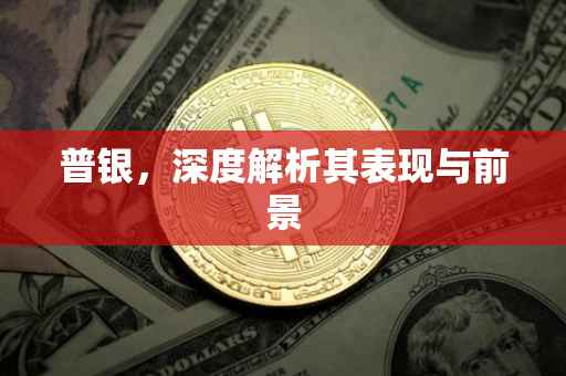 普银，深度解析其表现与前景
