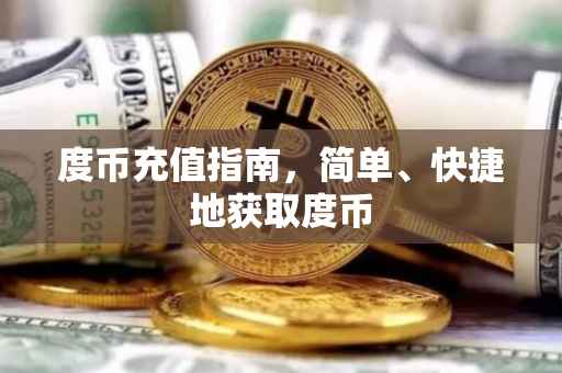 度币充值指南，简单、快捷地获取度币